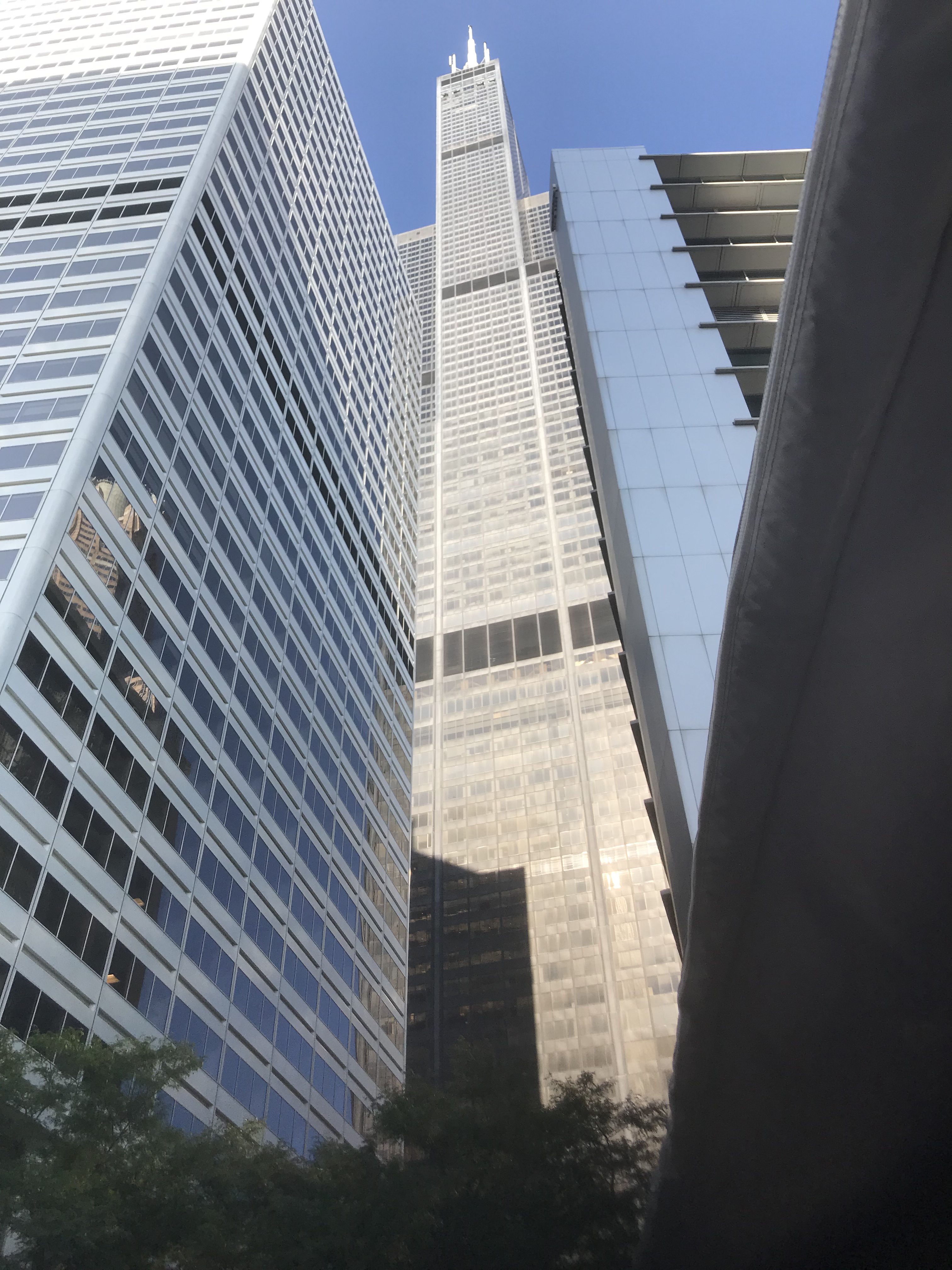 Picture of a Chicago skyscraper.